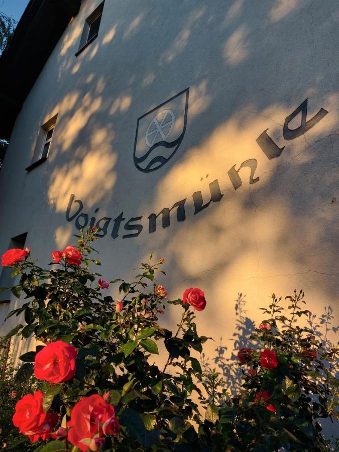 ホテル Landgut Voigtsmuehle Friedland  エクステリア 写真