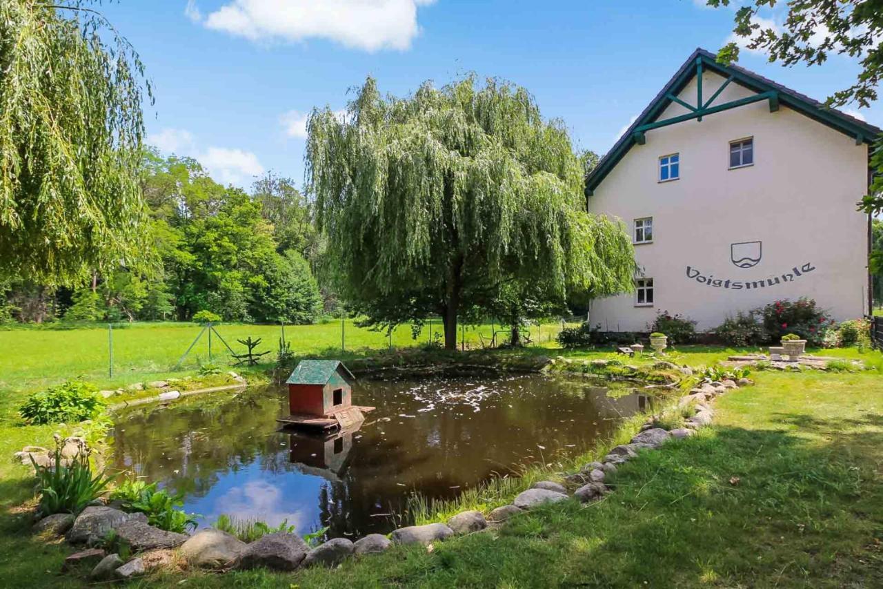 ホテル Landgut Voigtsmuehle Friedland  エクステリア 写真